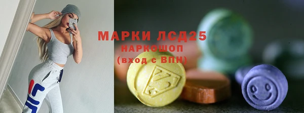молекула духа Вязьма