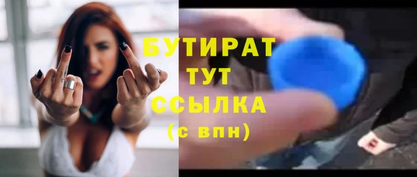 стафф Гусев