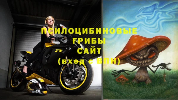 марки lsd Гусиноозёрск