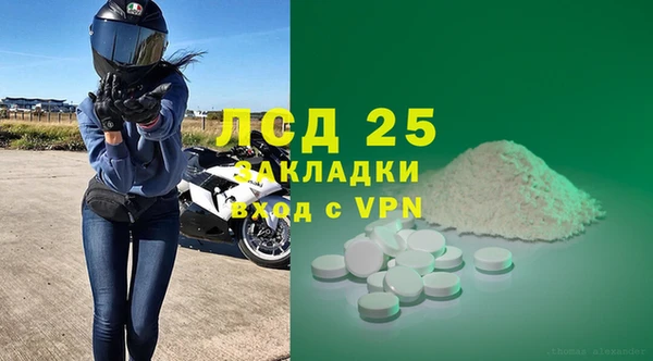 стафф Гусев