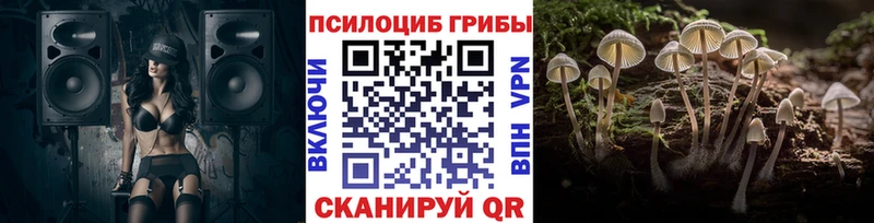 Псилоцибиновые грибы Psilocybe  купить наркоту  Елизово 
